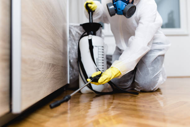 Best Cockroach Control Services  in Checotah, OK