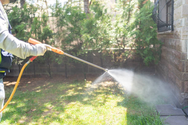 Best Bed Bug Extermination  in Checotah, OK