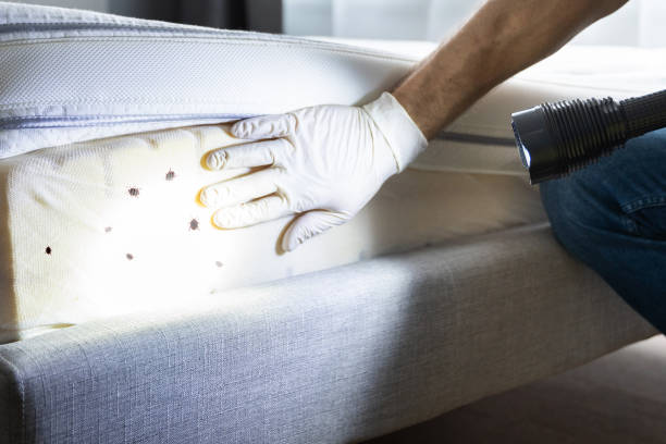 Best Pest Removal Services  in Checotah, OK