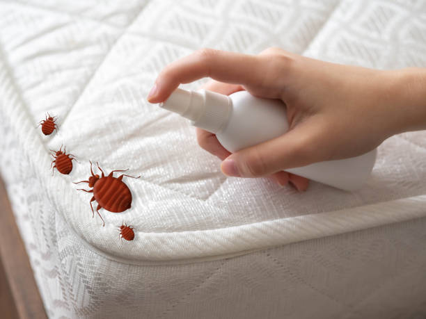 Best Bed Bug Extermination  in Checotah, OK
