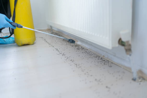 Best Residential Pest Control  in Checotah, OK