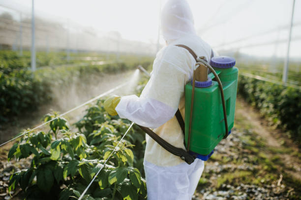 Best Cockroach Control Services  in Checotah, OK